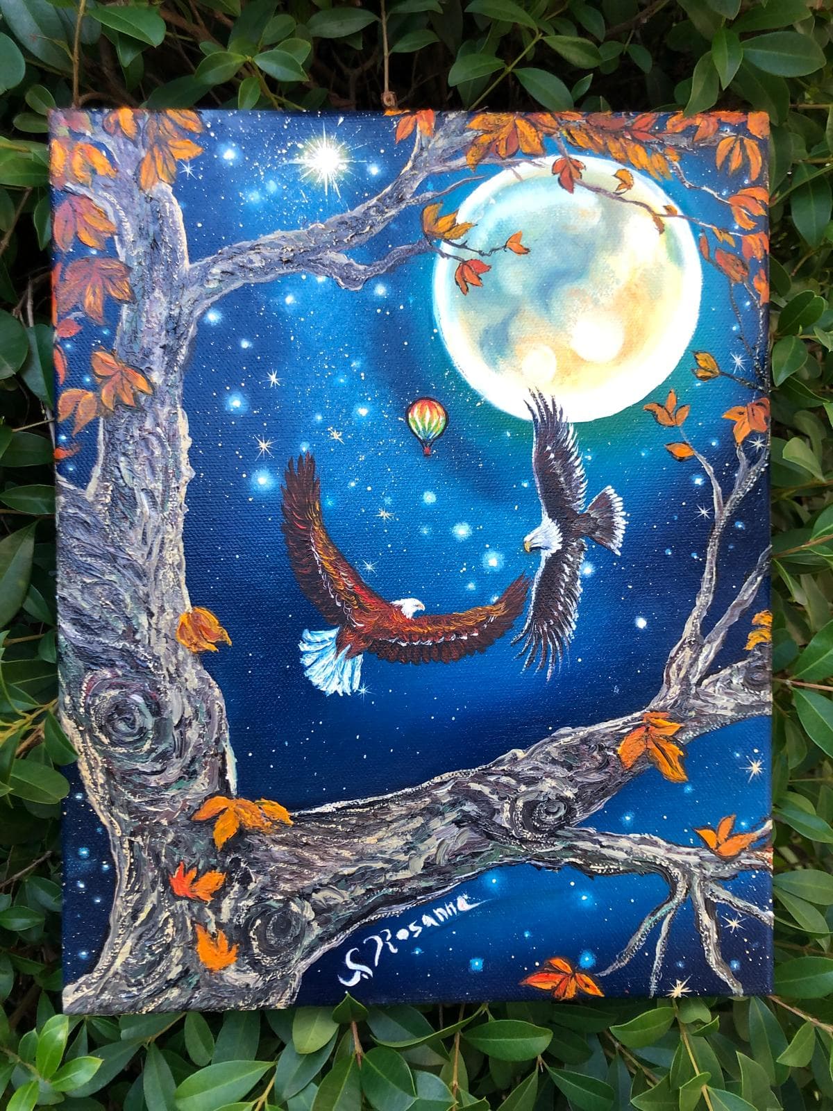Volo Notturno Sotto la Luna