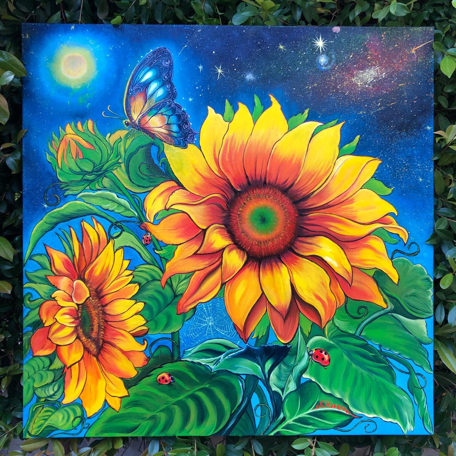 Notte di Girasoli e Sogni di Farfalla